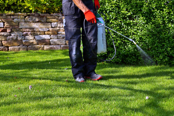 Real Estate Pest Inspections in Slatington, PA